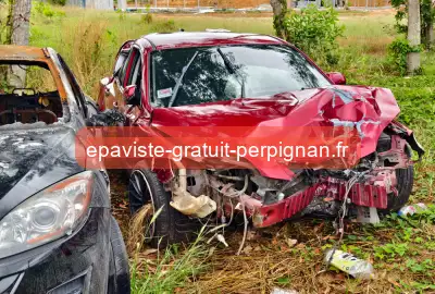 épaviste gratuit